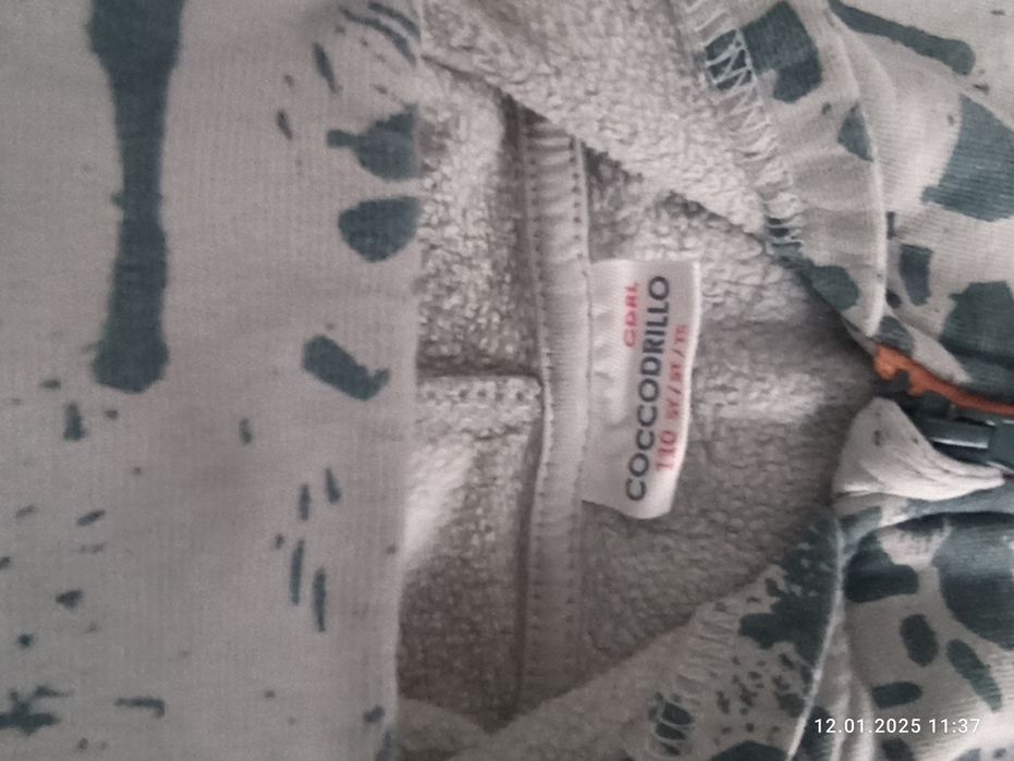 Dresy Cocodrillo chłopięce 104 + koszula z kołnierzykiem