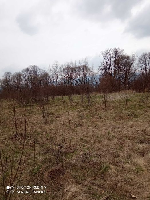 Земельна ділянка у Карпатах