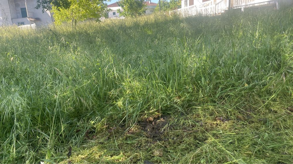 ServiÇo de desmataçao de terrenos agricolas