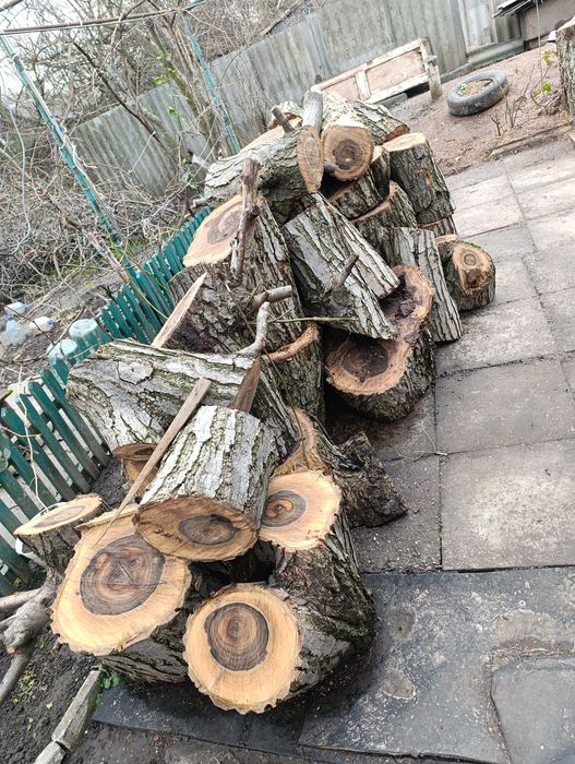 Продам дрова (горіх)