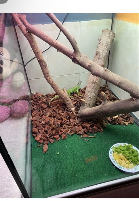 Aquario/terrario 250 litros