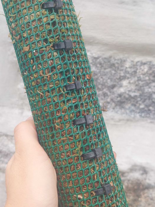 Moss Trellis – Custom-Made64332154202881124