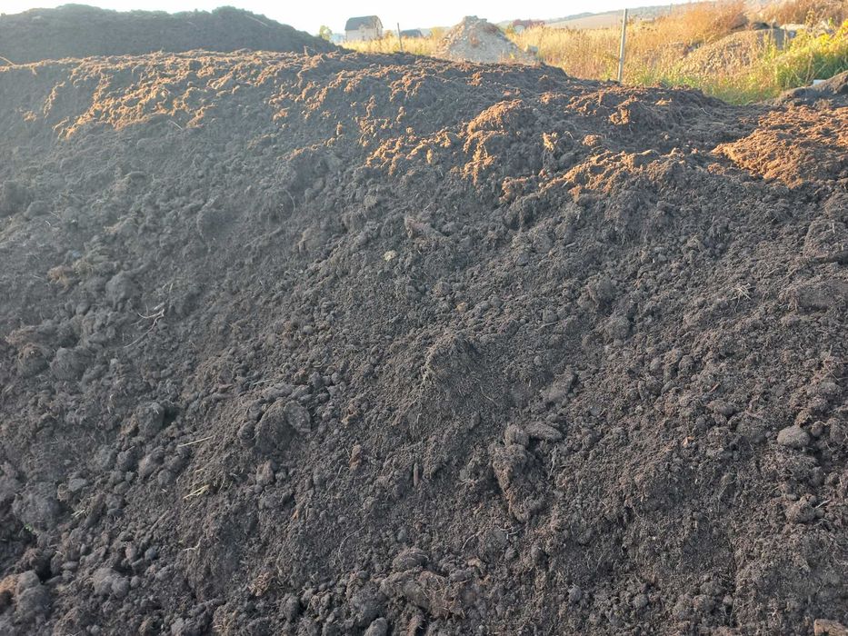 Торф для хвойних і лохини