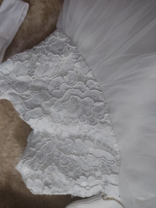 Sukienka bolerko płaszczyk