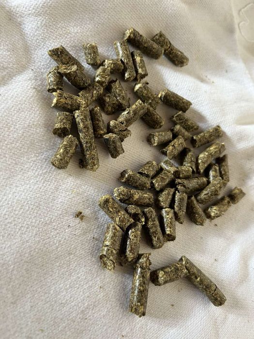 Паливна пелета гранула з агро сировини