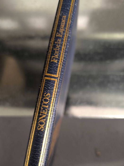 Livro “Sonetos” de Florbela Espanca