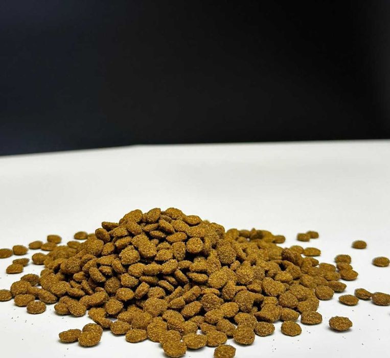 Sucha karma dla kotów kurczak 5KG MR. WOOF WYSYŁKA GRATIS CAŁY KRAJ