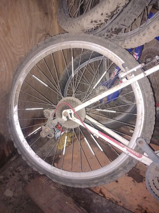 Roda de bicicleta