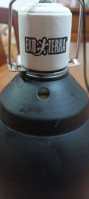 Lâmpada com suporte para répteis