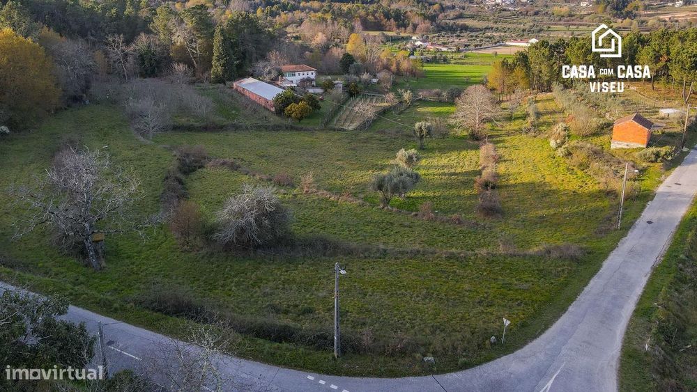 Quinta em S. Pedro de France — São Pedro de France, Viseu