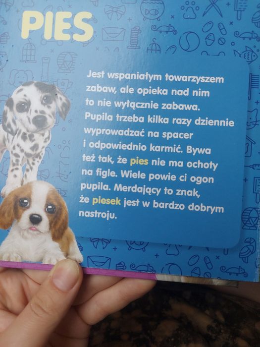 Zwierzaki domowe książka i puzzle kolorowanka
