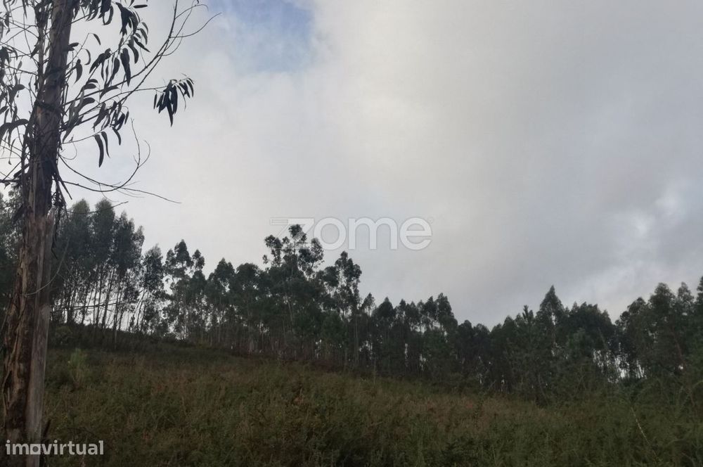 Terreno Rustico em Escariz São Martinho, Vila Verde