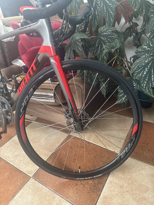 Giant TCR advenced