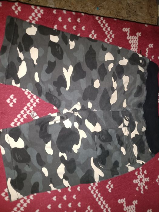 Spodenki bape shark