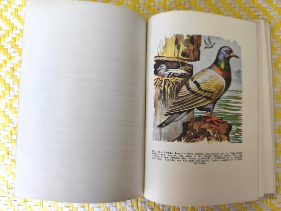 Compêndio de Zoologia  - 2º Ciclo Liceal – 3º Ano