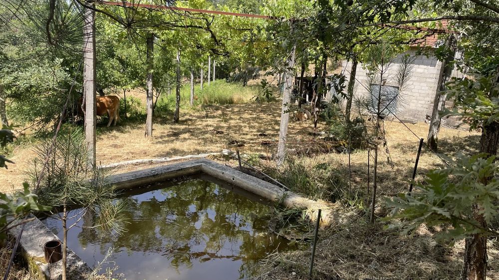 Oprtunidade- Quinta com casa rustica para restauro