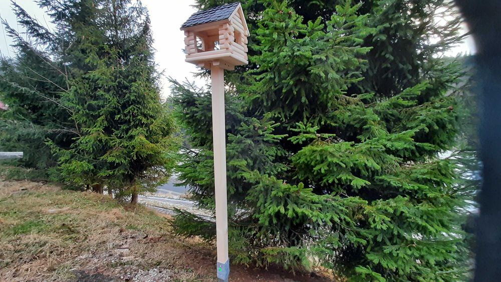 Karmnik dla ptaszków.