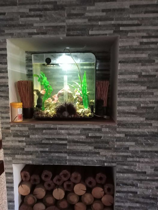 AQUÁRIO BIORB FLOW  MCR PRETO 30L