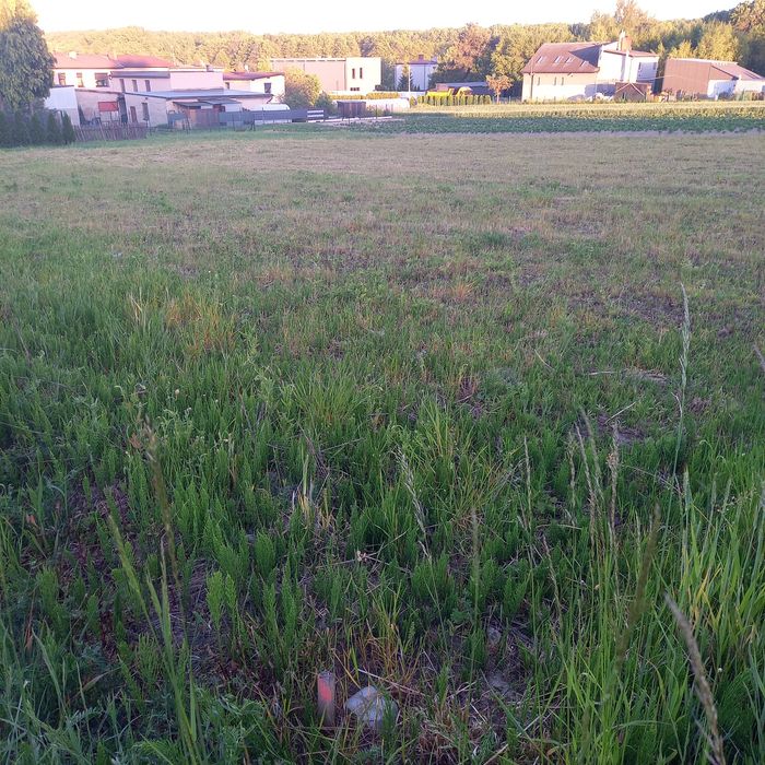 Działka budowlana Mikołów obok pola golfowego - Widok 4