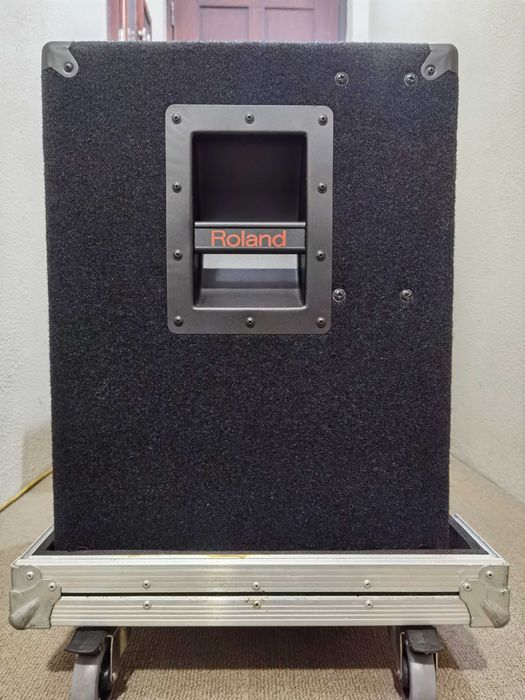 Roland DB-700 Bass Combo 250W 1x15'' + Oferta da Roadcase