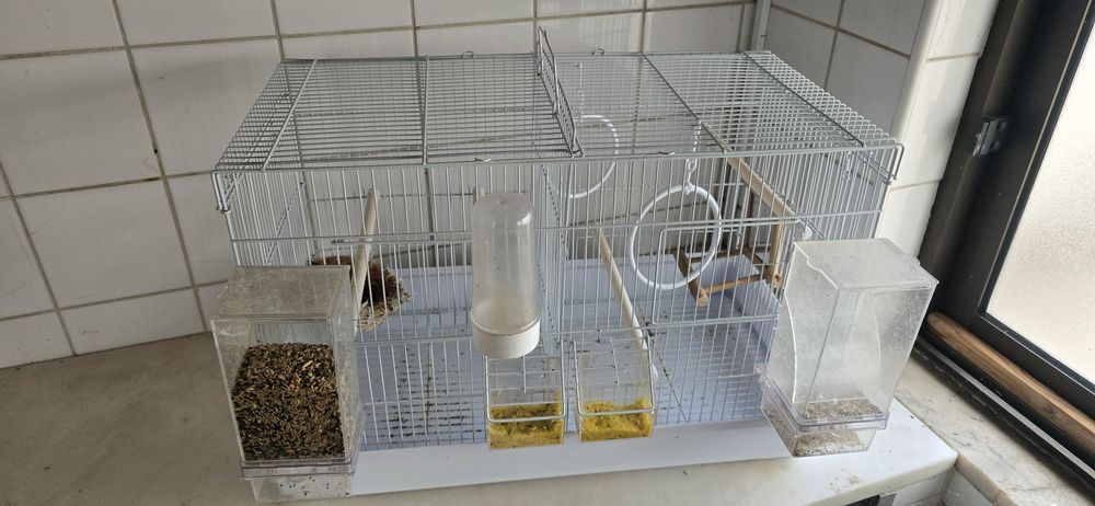 Gaiolas para canários