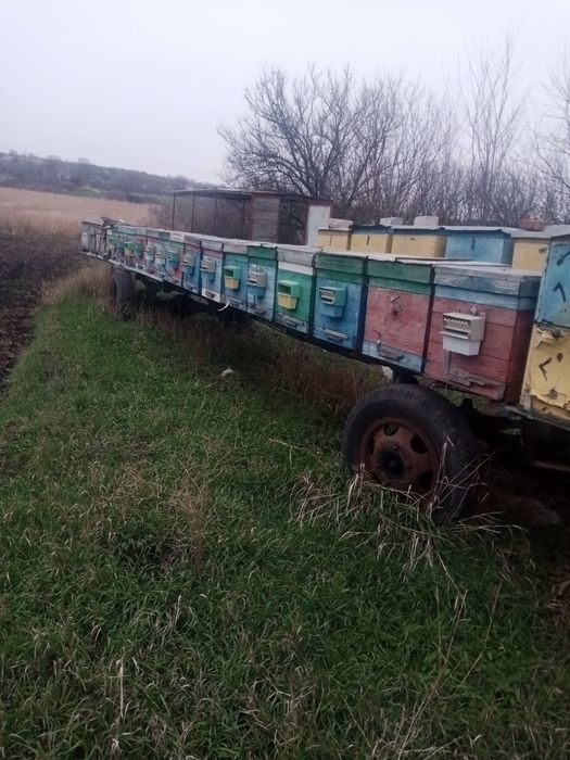 Платформа,прицеп