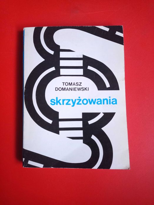 Skrzyżowania, Tomasz Domaniewski