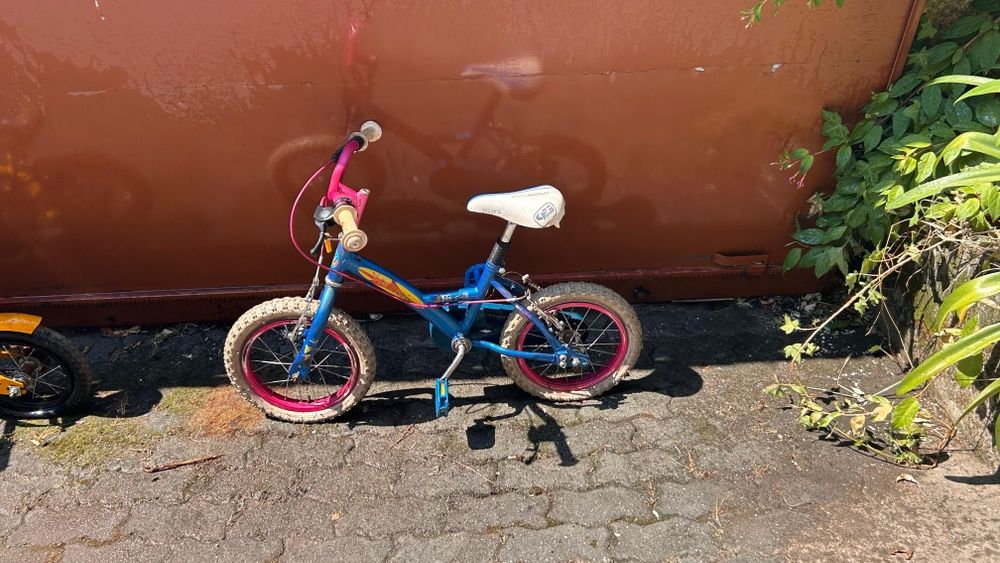 Bicicleta de Menina