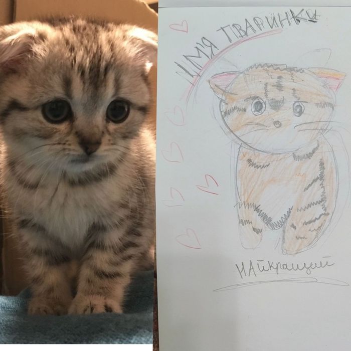 Намалюю вашого улюбленця