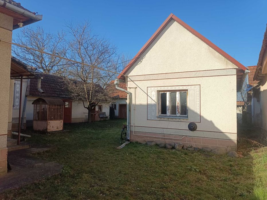 Велике БУДИНКОВОЛОДІННЯ у с. Балажер 7км до Берегова, ділянка 16 соток