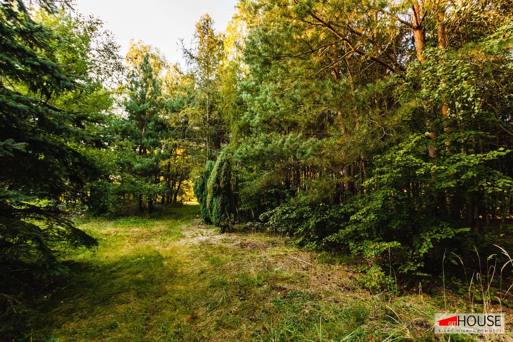 Dzika natura- działka z lasem- PAROWA- UNIKATOWA LOKALIZACJA - Widok 3