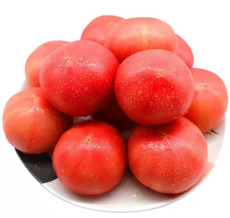 Pimenta Capia, tomates frescos, cenouras