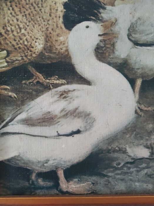 Quadro natureza morta e postais antigos de Lisboa