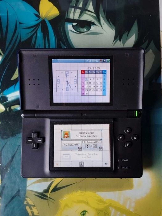 Jogo Nintendo DS "Chicken Shoot" 2007