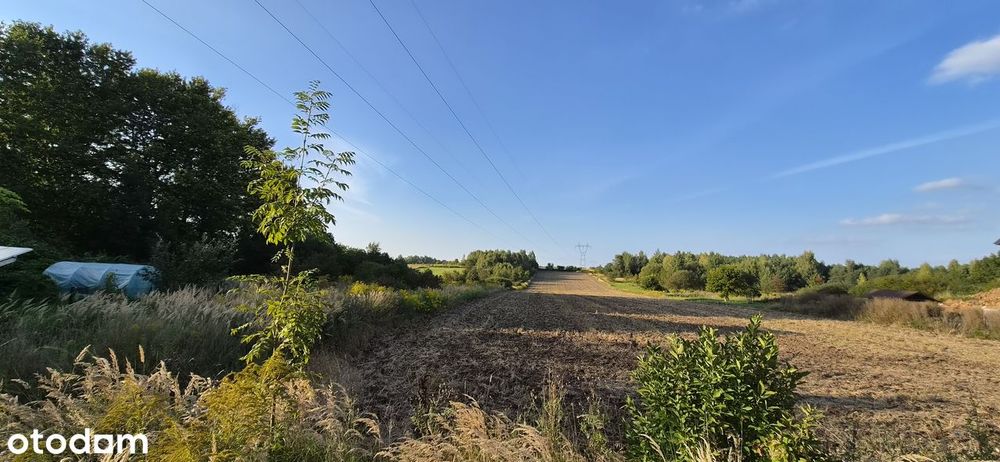 Działka rolno-budowlana w spokojnej okolicy - Widok 4