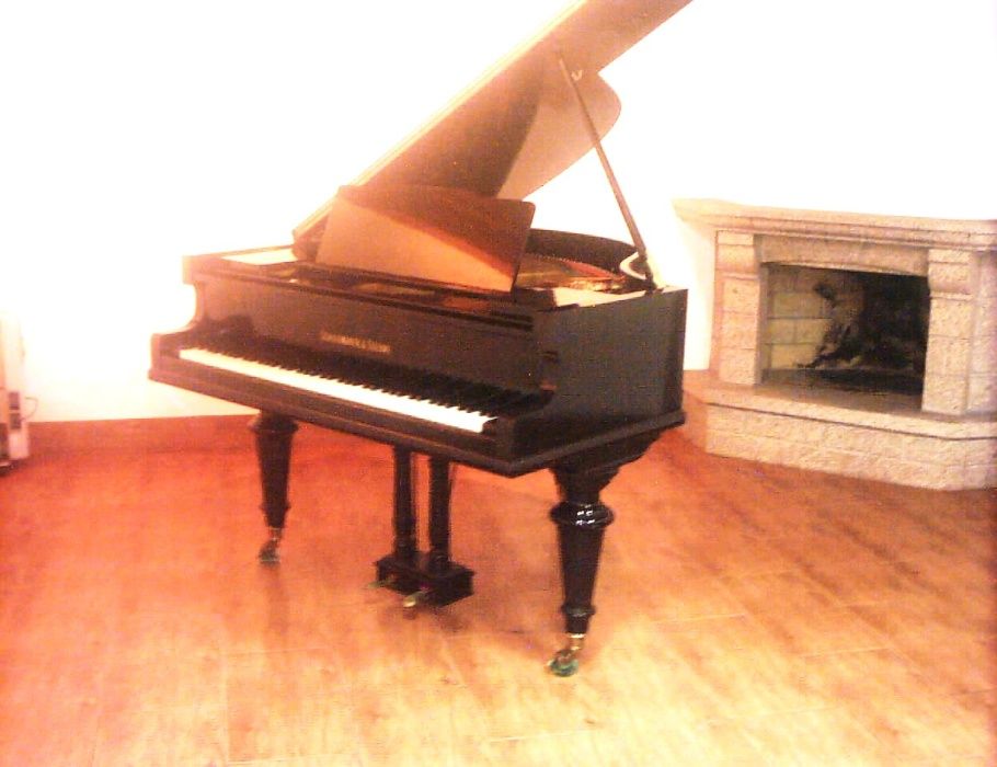 Pianos verticais e de cauda afinador e arranjo