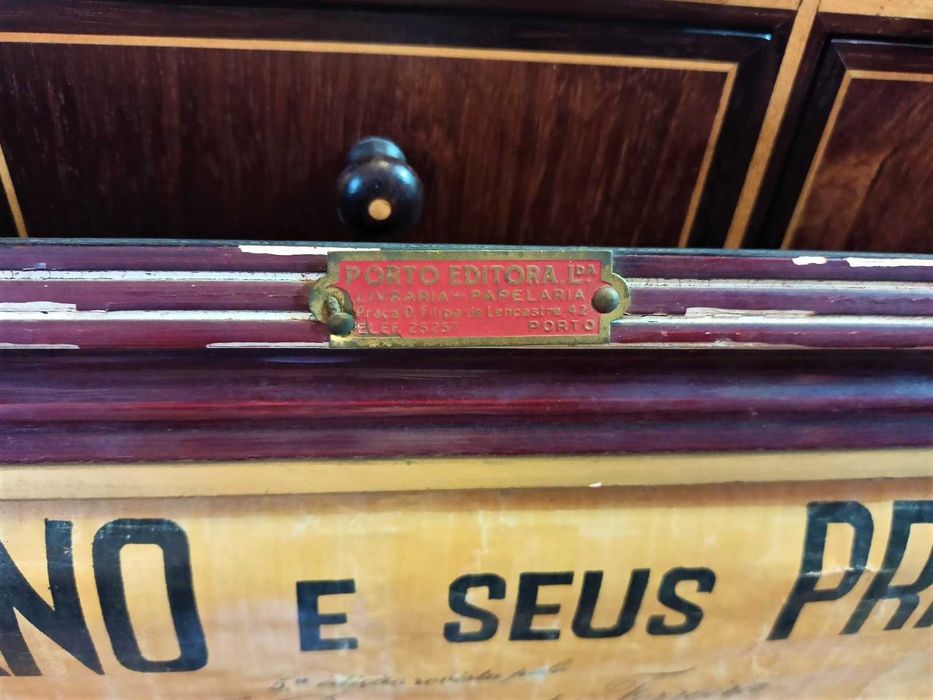 Mapa Corpo Humano Principais Orgãos