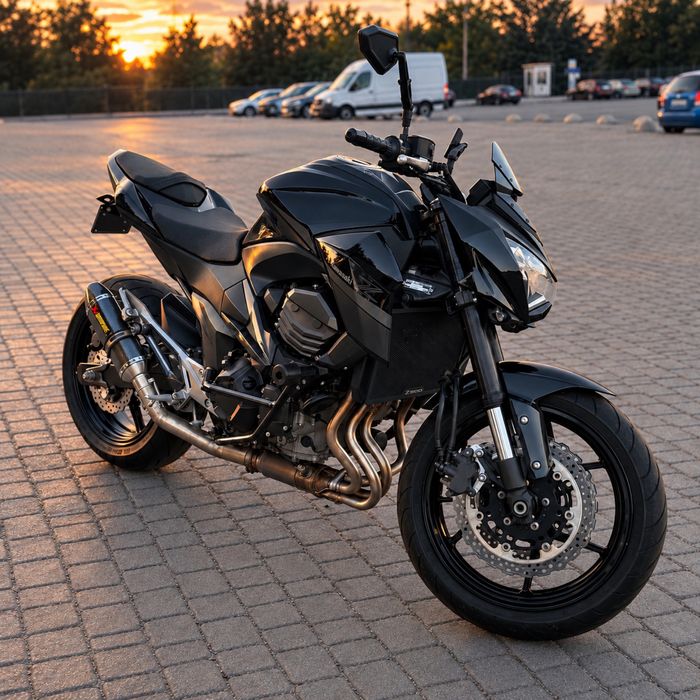 Стрит naked Kawasaki z800 2015