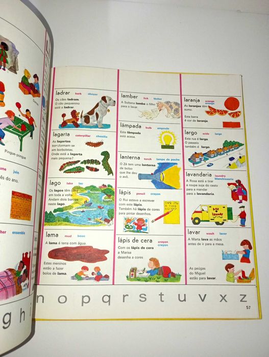 Dicionário Infantil dos três Idiomas (Português/ Francês/ Inglês)