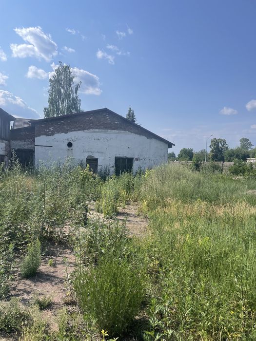 Продаж приміщення м.Батурин