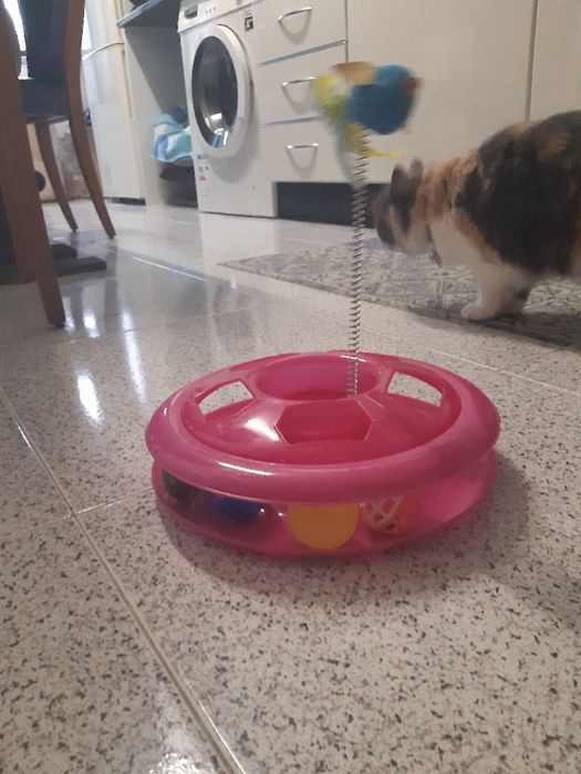 Brinquedo gatinhos