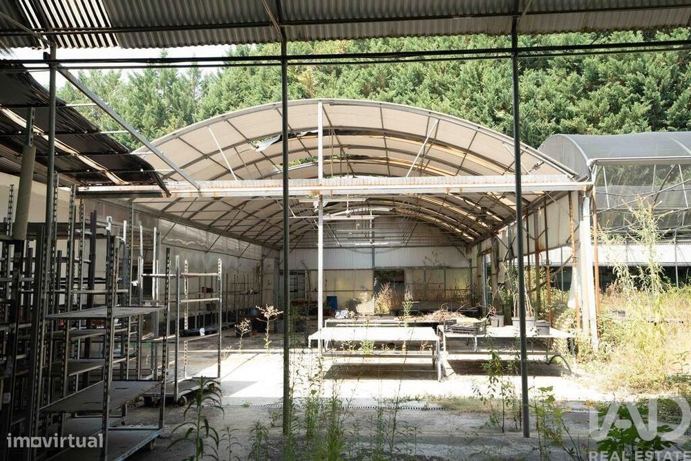 Terreno para construção em Borbela e Lamas de Olo de 2750,00 m2