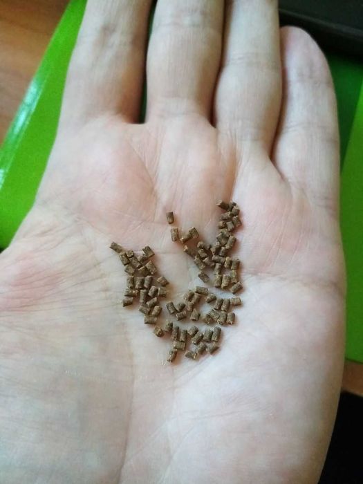 Корм для аквариумных рыб