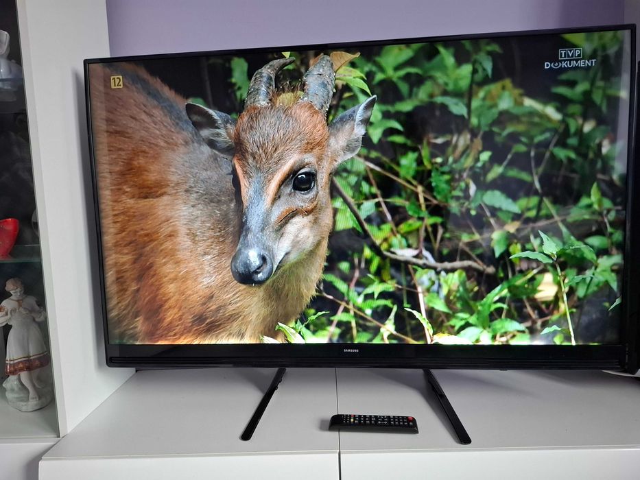 Telewizor Samsung UE49K5100AW