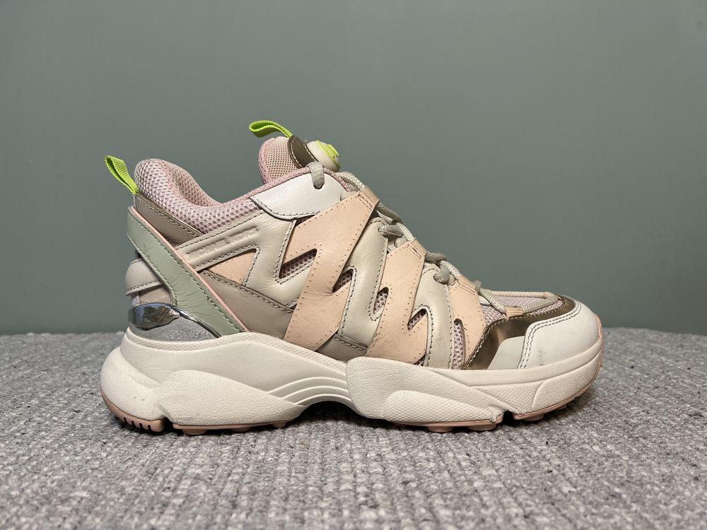 Mesh trainer deals