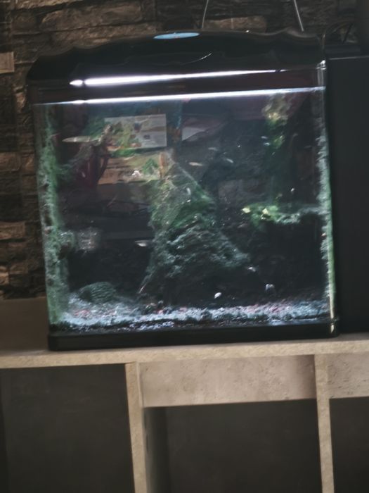 Akwarium dziecięcy 30 l