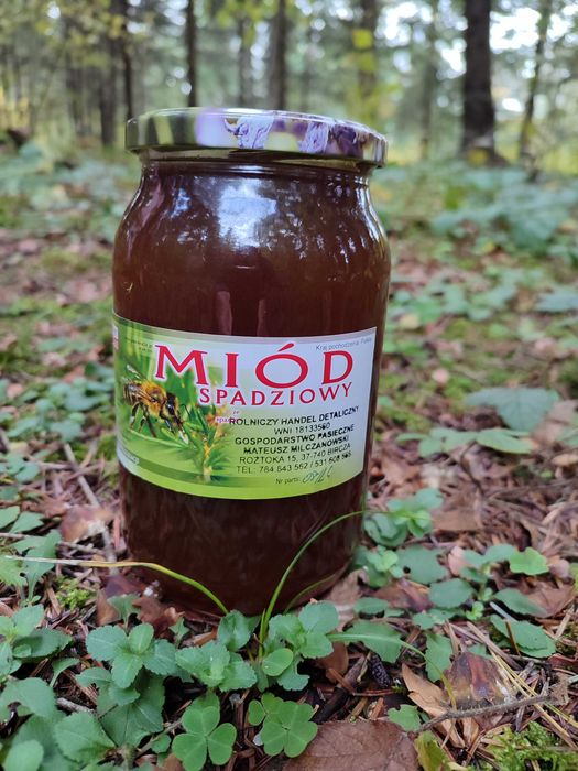 Miód spadziowy iglasty