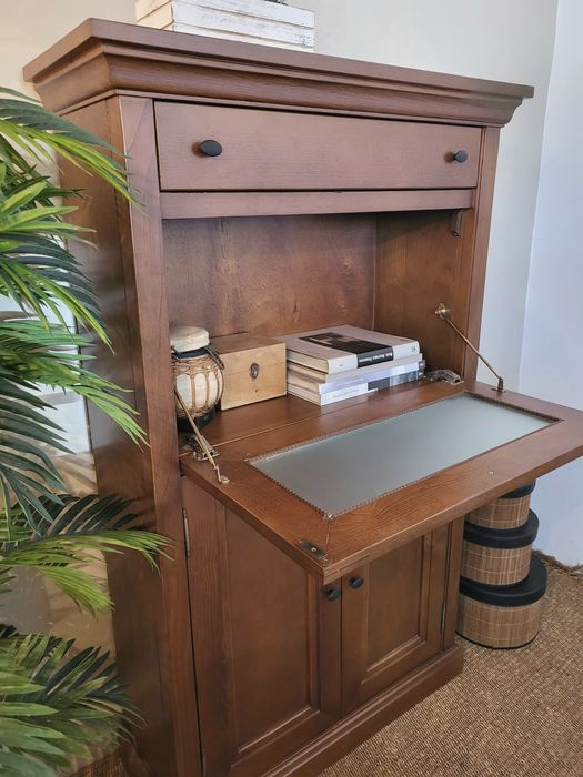 armario, aparador, garrafeira, bar, escritório, louceiro, rustico