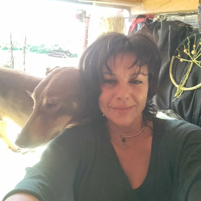petsiting,housekeeping ,cleaning Algarve sagres/Portimão