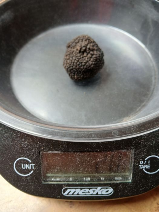 50g - Trufla Czarna - Import z Włoch.